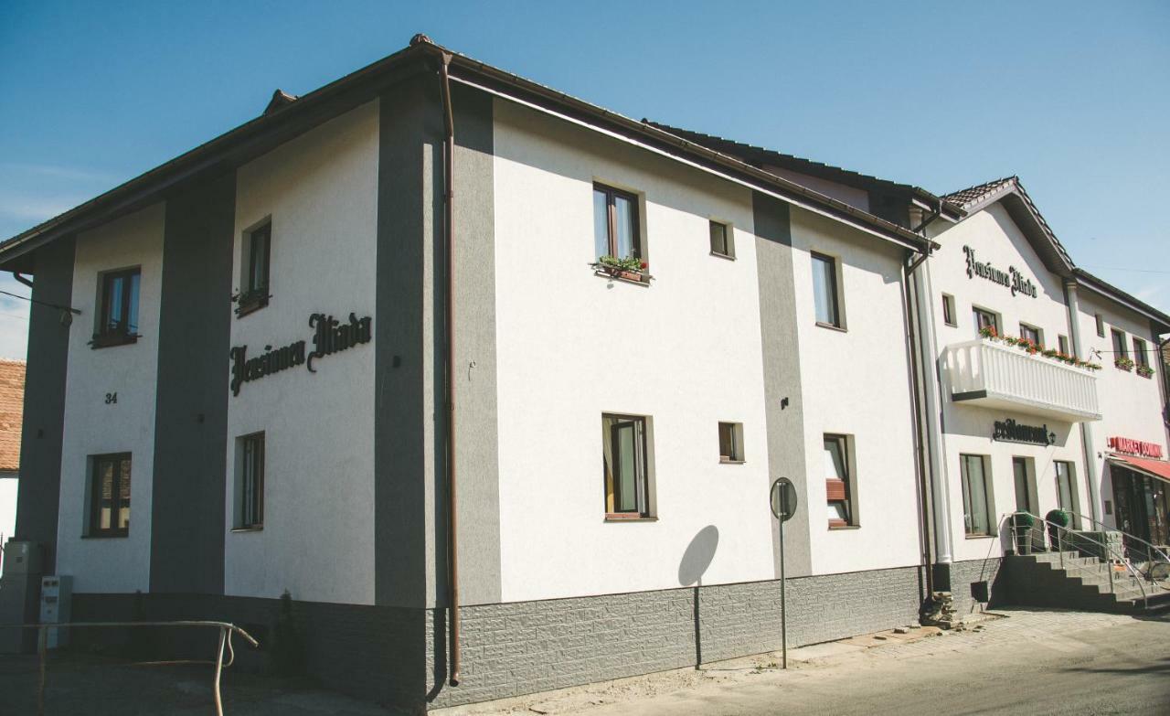 Pensiunea Iliada Sibiu Exterior photo