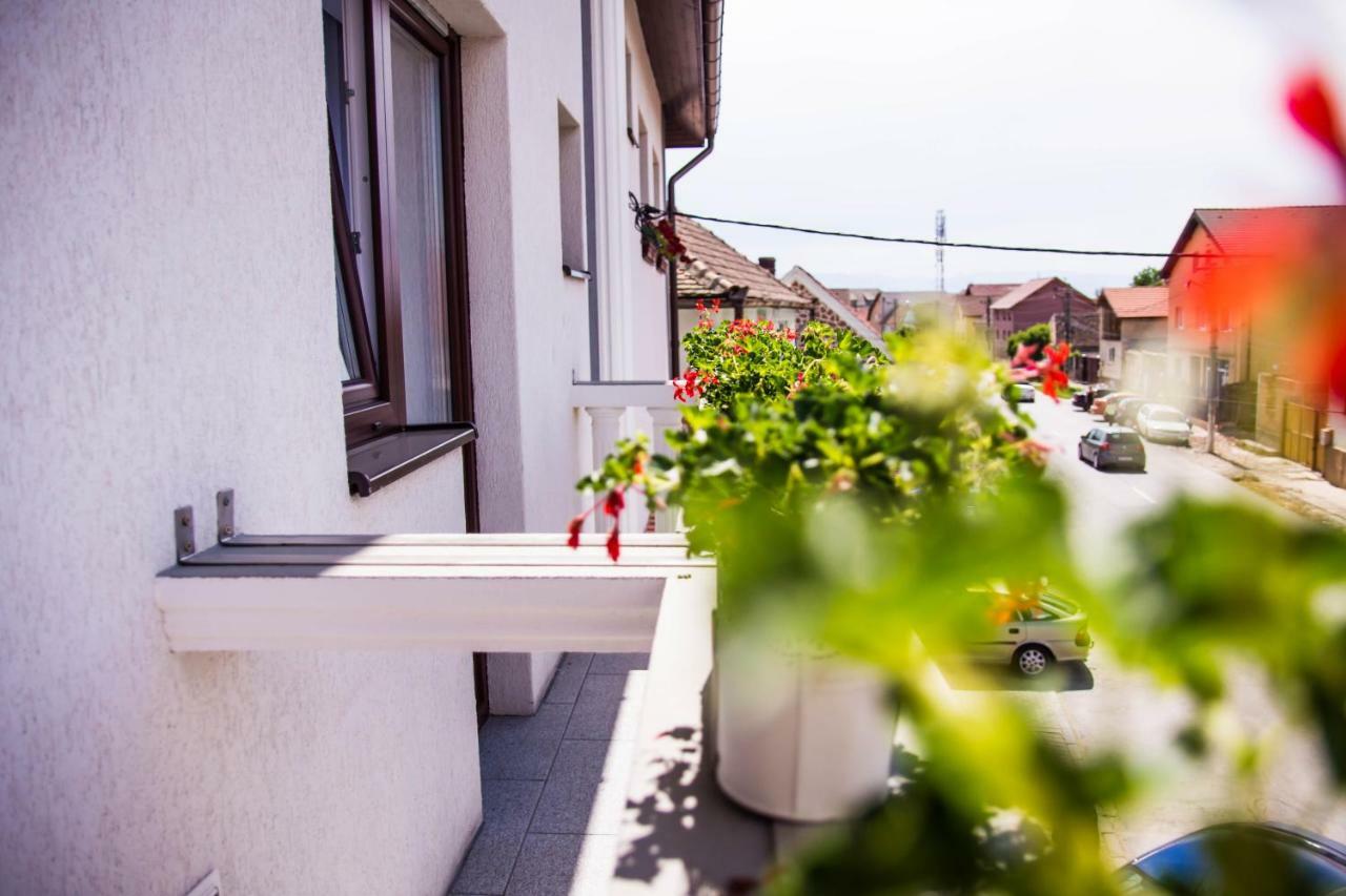 Pensiunea Iliada Sibiu Exterior photo